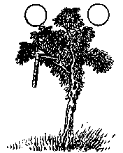 第二十七象 · Diagram