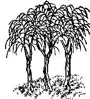第二十九象 · Diagram