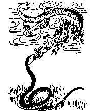第四十八象 · Diagram