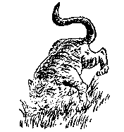 第五十象 · Diagram