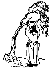 第五十五象 · Diagram